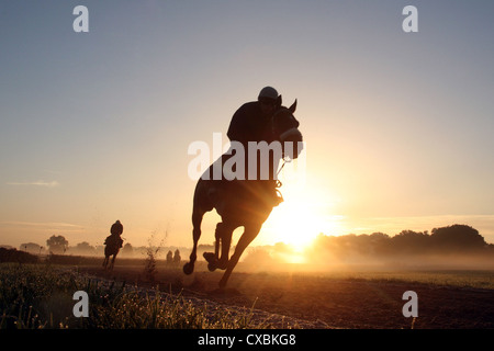 Iffezheim, Reiter und Pferde bei der Fahrt in den Morgen Stockfoto