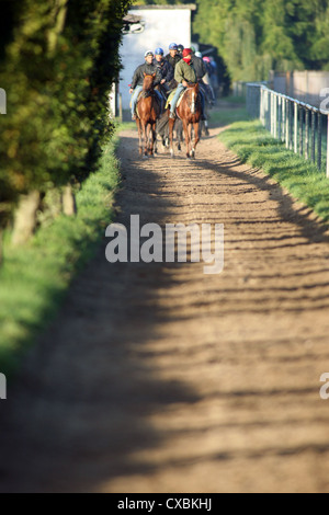 Iffezheim, Reiter und Pferde bei der Fahrt in den Morgen Stockfoto