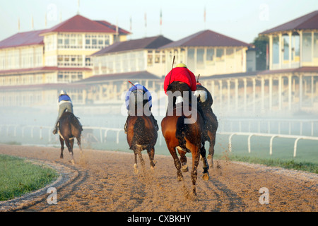 Iffezheim, Reiter und Pferde im Training am Morgen vor den Tribünen der Rennbahn Stockfoto