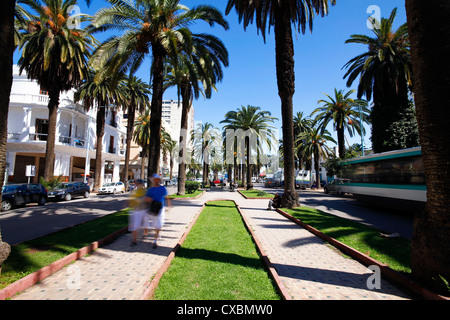 Der Boulevard de Rachidi, ein typischen breiten Baum gesäumten Straße in die intelligente Lusitania Bezirk, Casablanca, Marokko, Nordafrika Stockfoto