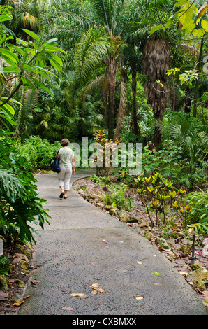 Harry P. Leu Gardens, Orlando, Florida, Vereinigte Staaten von Amerika, Nordamerika Stockfoto