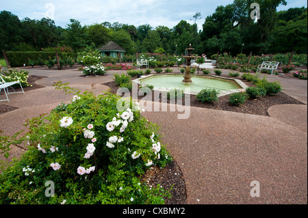 Harry P. Leu Gardens, Orlando, Florida, Vereinigte Staaten von Amerika, Nordamerika Stockfoto