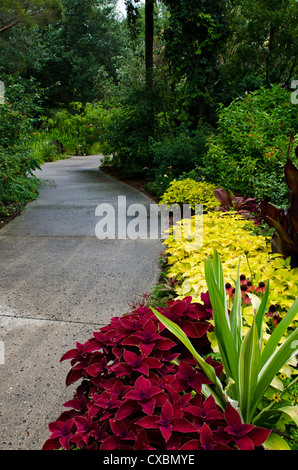 Harry P. Leu Gardens, Orlando, Florida, Vereinigte Staaten von Amerika, Nordamerika Stockfoto