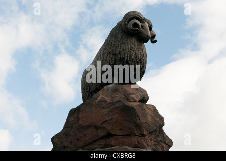 Moffat Ram, Dumfries & Galloway-2 Stockfoto