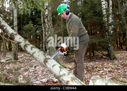 Berlin, Alltag der Holzfäller Stockfoto