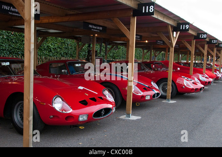 Reihe von Ferrari 250 GTO 1960er Jahren Supersportwagen Stockfoto