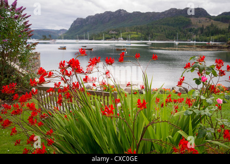 Crocosmia wachsen in einer kleinen schottischen Garten mit Blick auf Loch Carron Stockfoto