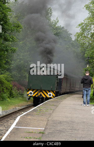 Krieg-Abteilung 132 "Sapper", Hunslet 0-6-0 Sparmaßnahmen Tank bei Summerseat auf der East Lancashire Railway (ELR) für Bury gebunden. Stockfoto