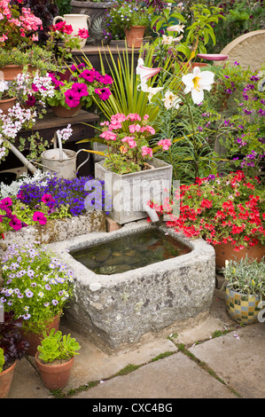 Blütenpracht mit Stufen im Garten von La Seigneurie auf Sark, einschließlich ein kleines Wasserspiel Stockfoto