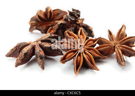 Stern Sie Anis (Illicium Verum - beide Seiten des Pods gezeigt) auf einem weißen Hintergrund, extreme Nahaufnahme Stockfoto