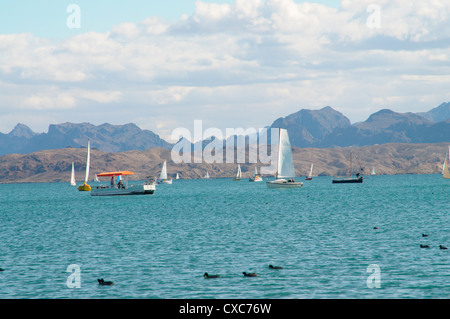 Lake Havasu, Arizona, Vereinigte Staaten von Amerika, Nordamerika Stockfoto