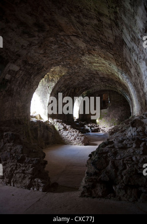 Gewölbekeller des East Sortiment von Dirleton Castle, eine mittelalterliche Festung auf einem Felsvorsprung in East Lothian. Stockfoto