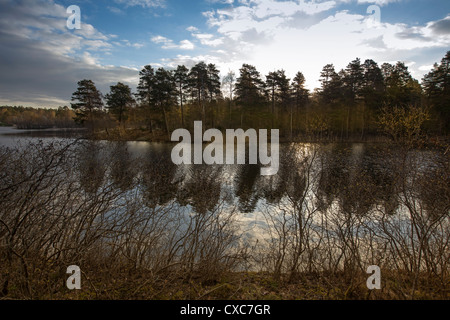 Kottla Kottlasjön, See, Lidingö (Schweden) Stockfoto
