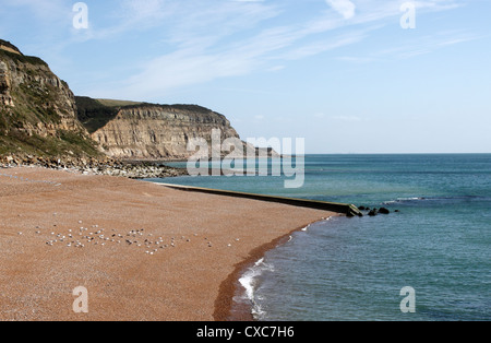 HASTINGS BEACH UND CLIFFS EAST SUSSEX UK Stockfoto