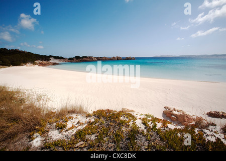 Spiaggia Rosa (Pink Beach) auf der Insel Budelli, Maddalena Inseln La Maddalena National Park, Sardinien, Italien Stockfoto