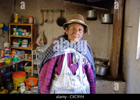 Aymara alte Frau in den Kordilleren Stockfoto