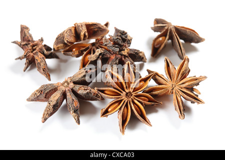 Stern Sie Anis (Illicium Verum - beide Seiten des Pods gezeigt) auf einem weißen Hintergrund, extreme Nahaufnahme Stockfoto