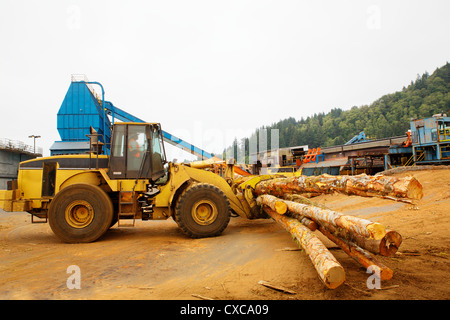 Wald-Protokollierung Gabelstapler oder Mover an ein Sägewerk Stockfoto