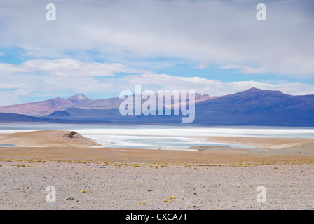 Blick auf die Laguna Salada im Nationalpark Eduardo Avaroa Stockfoto