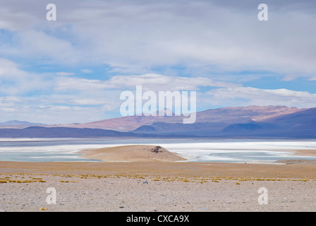 Blick auf die Laguna Salada im Nationalpark Eduardo Avaroa Stockfoto