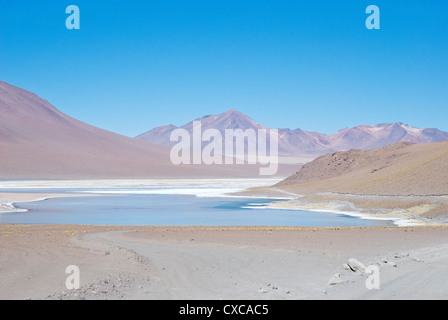 Blick auf die Laguna Salada im Nationalpark Eduardo Avaroa Stockfoto