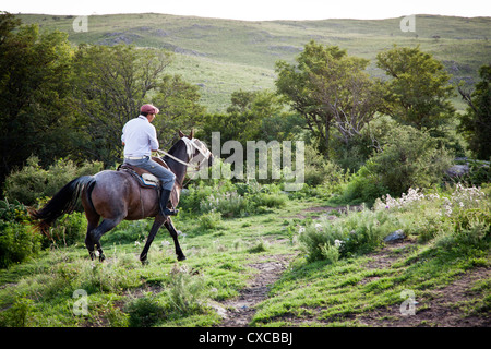 Gaucho mit Pferden auf der Estancia Los Potreros, Provinz Córdoba, Argentinien. Stockfoto