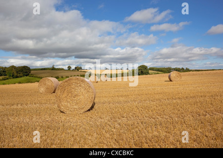 Stroh Rundballen in einem frisch geschnittenen Stoppelfeld im Spätsommer bei bewölktem Himmel auf die Yorkshire Wolds England Stockfoto