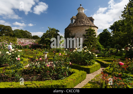 Ein männlicher Besucher, genießen Sie die bunte Rose Parterre und Walled Garden von Rousham House im Spätsommer, Oxfordshire, England. Stockfoto