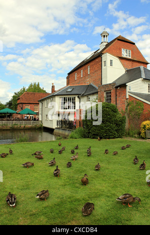 Die Mühle am Elstead, Pub in der Nähe von Farnham Surrey England UK Stockfoto