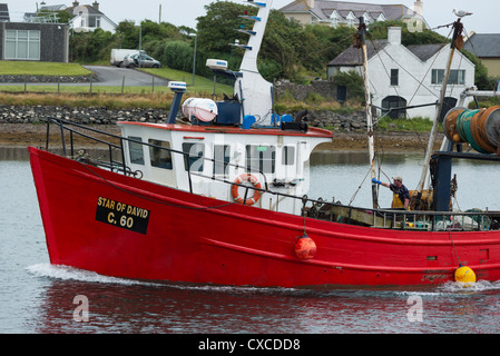 Lokale Fischer segelt in Dingle Stadt Port. Dingle Halbinsel, Irland. Stockfoto