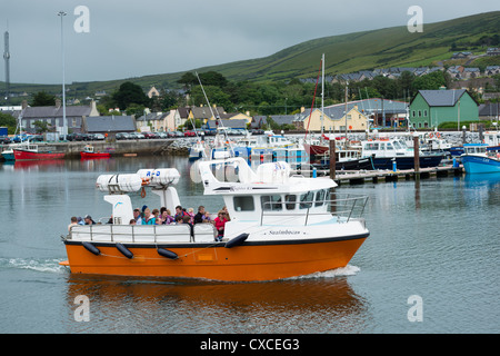 Touristenboot segelt außerhalb des Hafens der Stadt Dingle. Dingle Halbinsel, Irland. Stockfoto