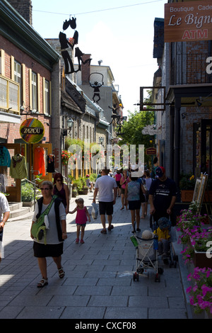 Straßenszene, Rue du Petit-Champlain, Quebec City, Kanada Stockfoto