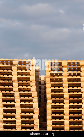 Lagerstapel mit neuen Euro-Standard-Frachtpaletten aus Holz Stockfoto