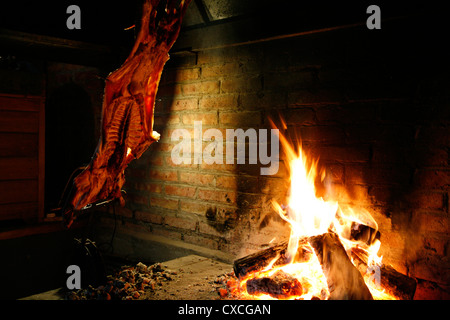 Land am Spieß, Huechahue Estancia, Patagonien, Argentinien geröstet. Stockfoto