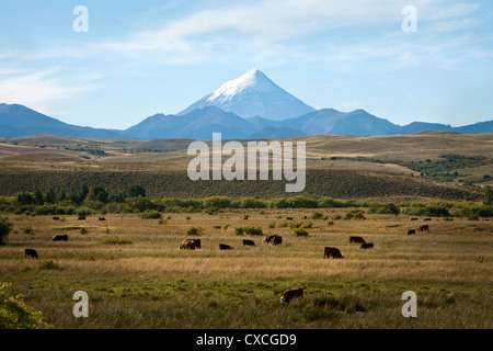 Blick über Lanin Vulkan Nationalpark Lanin, Patagonien, Argentinien. Stockfoto