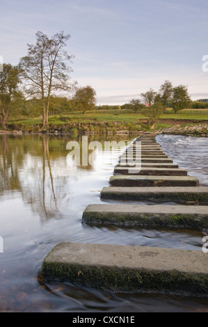 Niedrige Aussichtspunkt in der Nähe des ruhig fließende Wasser runde Trittsteine Kreuzung malerischen Fluss-River Wharfe, Burley in Bösingen, Yorkshire, England, UK. Stockfoto