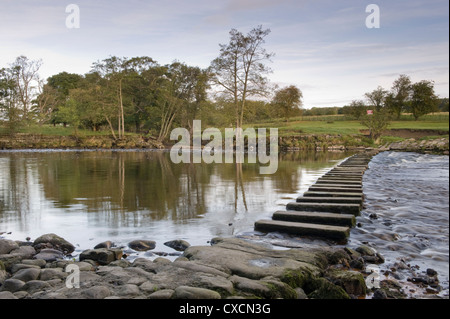 Niedrige Aussichtspunkt in der Nähe des ruhig fließende Wasser runde Trittsteine Kreuzung malerischen Fluss-River Wharfe, Burley in Bösingen, Yorkshire, England, UK. Stockfoto