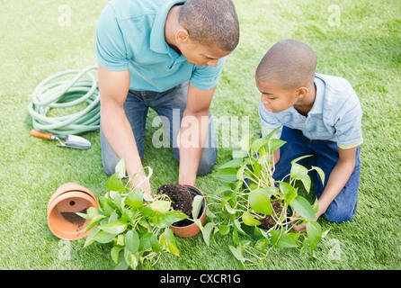 Vater und Sohn im Garten Stockfoto