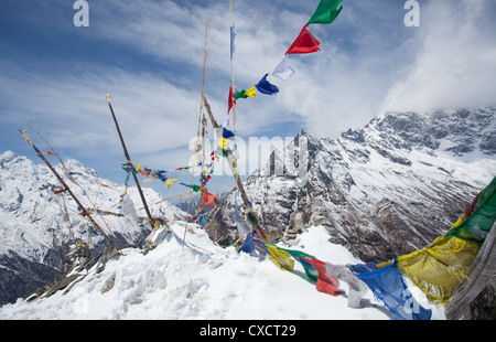 Gebetsfahnen an der Spitze eines Berges, Langtang-Tal, Nepal Stockfoto