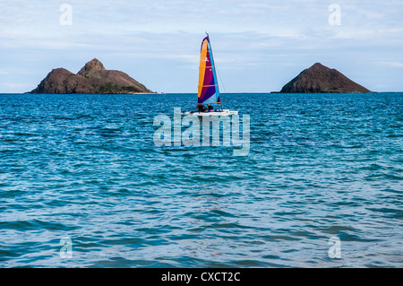Hobie Cat Segelboot aus Lanikai Beach, Kailua Bay, Oahu, Hawaii. Mokulua Inseln im Hintergrund Stockfoto
