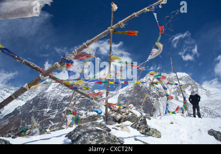 Nepalesische Sherpa stehen auf dem Gipfel des Kyanjin Ri Berg umgeben von Gebetsfahnen, Langtang-Tal, Nepal Stockfoto