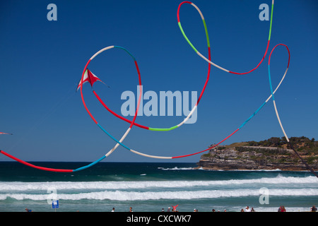 Festival of the Winds, Drachensteigen, Bondi Beach, New South Wales, Sydney Australien Stockfoto