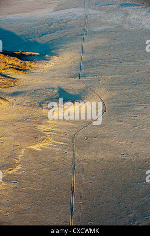 Luftaufnahme der Weg in die Wüste und Märchen Kreise, Namib-Naukluft-Park, Namib-Wüste, Namibia, Afrika Stockfoto