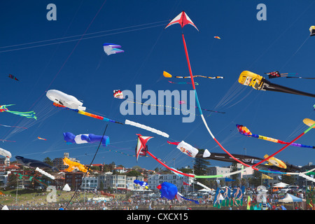 Festival of the Winds, Drachensteigen, Bondi Beach, New South Wales, Sydney Australien Stockfoto