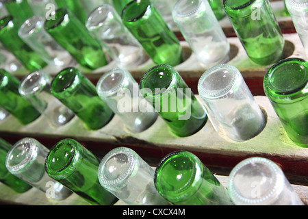 Gruppe von grünem und weißem Recycling-Glas Wein Flaschen Stockfoto