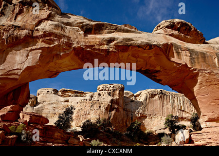 Hickman Bridge, Capitol Reef National Park, Utah, Vereinigte Staaten von Amerika, Nordamerika Stockfoto