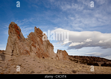Rock-Fin, Carson National Forest, New Mexico, Vereinigte Staaten von Amerika, Nordamerika Stockfoto