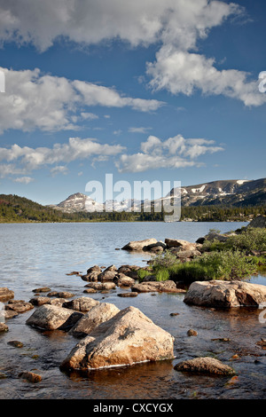 See mit Insel, Shoshone National Forest, Wyoming, Vereinigte Staaten von Amerika, Nordamerika Stockfoto