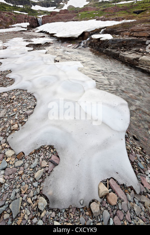 Alpine Stream mit Schnee, Glacier National Park, Montana, Vereinigte Staaten von Amerika, Nordamerika Stockfoto