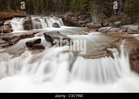 Fällt auf Nigel Creek, Banff National Park, UNESCO World Heritage Site, Alberta, Kanada, Nordamerika Stockfoto